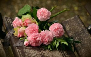palettblad china rose