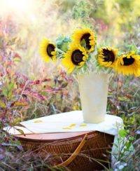 blommor i kruka ute inspiration
